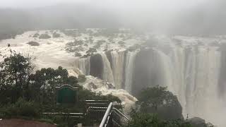 Jog falls today