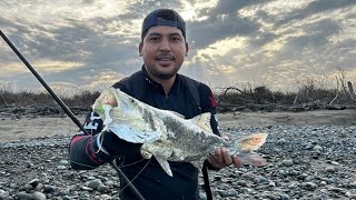 robalo de orilla en playa barrio viejo ixtapa zihuatanejo