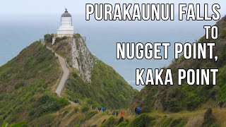 Driving New Zealand: Purakaunui Falls, Nugget Point,  Kaka Point. Southern Excursion Part 5