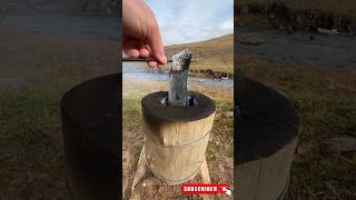 fish in a stump | cooking fish in the wild #shorts #food #cooking #asmr #nonveg