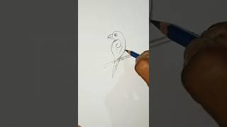 Draw_a_parrot_using_9_#shorts_#ashortaday