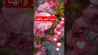 مسا النور والهنا ♥️🔥🌹على الموجودين هنا 💃 👈 غناء وردة