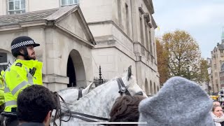 Today at King’s Guard Horses!!!