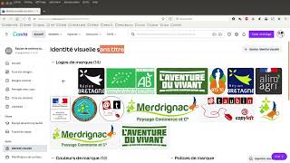 Tuto vidéo : Gérer les identités graphiques dans Canva