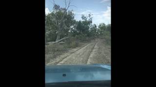 Murray River  4X4  Drive &  Camping 2018