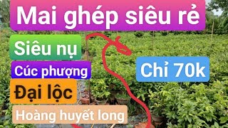 ☎️ ly 0384925778 ☎️ 3.10. mai ghép siêu rẻ