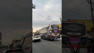 Basuri paling bikin candu bus pebepe blue sapihre #busmania #trending #shortvideo