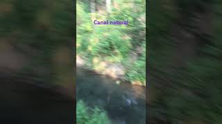 #Canal de agua natural#