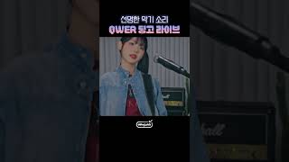 딩고랑 찰떡이라는 QWER 쌩 라이브 #shorts