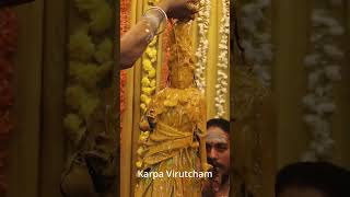 Vlog 93 | Monday Mylapore Sri Kapaleeswarar Abhishegam #Darshanam #shorts #ytshorts #ashortaday