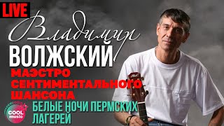 Владимир Волжский - Белые ночи Пермских лагерей (Маэстро сентиментального шансона, Live)