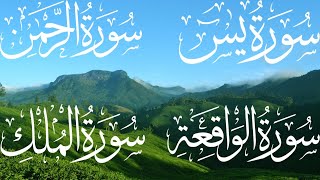 Surah Yaseen ❤️ Surah Rahman ❤️ Surah Waqia ❤️ Surah Mulk beautiful voice ❤️ Heart touching voice ❤️