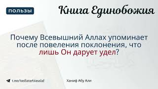 Почему Всевышний Аллах упоминает после повеления поклонения, что лишь Он дарует удел? Ханиф Абу Али