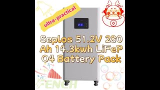 Seplos Battery Case 51.2V 280AH Diy