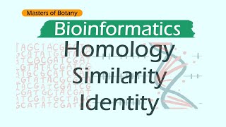 Homology, Similarity and Identity | Bioinformatics