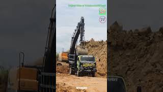 Hyundai Excavator Dump Trucks Excavating Dirt #shorts #excavator #excavation #trucks #earthmoving