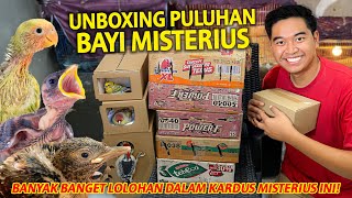 UNBOXING PULUHAN BAYI HEWAN MISTERIUS! BANYAK BANGET HEWAN YANG ADA DALAM KARDUS INI!