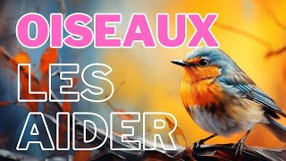 🐦Oiseaux du Jardin, Quelques Conseils pour les Aider