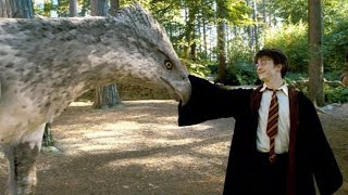 Hagrid'in İlk Dersi | Azkaban Tutsağı