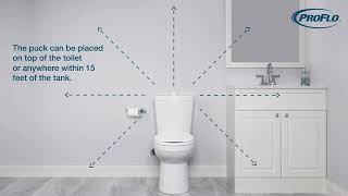 Discover the PROFLO® Kaden Touchless Toilet