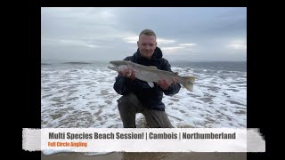 Mixed Species Beach Fishing | Costa del Cambois | Northumberland #seafishing #beachfishing#outdoors