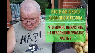 Итоги финского огородного сезона. Что можно вырастить на небольшом  приусадебном участке ч.2