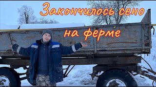 Везем сено для быков. Жизнь в Деревне.