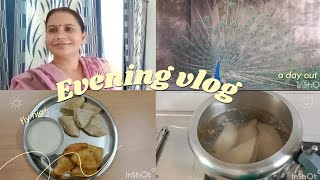 My evening vlog 📸.4 pm to 9 pm . Fhara recipe 😋 .VEG . kitchen/ lifestyle😊.