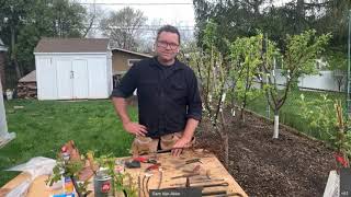 Open Orchard School: Fruit Tree Grafting