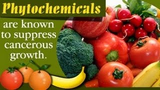 Things You Need to Know About Phytochemicals