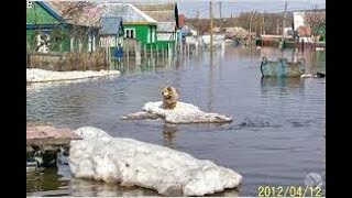 Днепропетровск. Подтопление, АНД район. Откачка воды. Ул Семипалатинская.