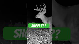 Shoot or Pass?  #wildlife #hunting #shorts