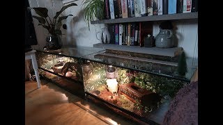 PET SNAKE TANK TOUR