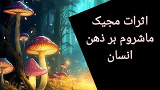 اثرات مجیک ماشروم بر ذهن انسان