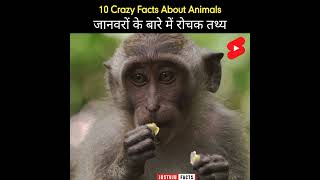 Remarkable Amazing Bizarre Hindi Fun Facts About Animals | Shocking Facts | #shorts #justujufacts