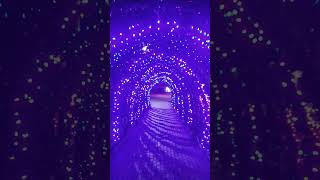 Christmas lights tunnel