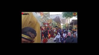 live streaming burok aji putra di desa bulakparen 17/10/2024