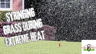 How To Cool Grass In Extreme Heat