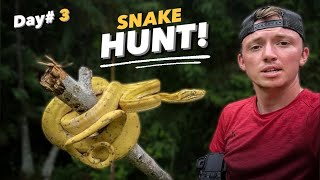 I Hunted For Snakes Deep In The Amazon Rainforest!