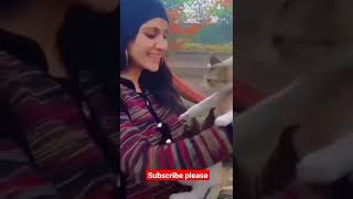 Kashmiri girl viral video 😂 | viral girl cat video | kashmiri girls tik tok videos | #shorts #tiktok