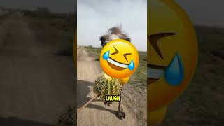 Camel eats Cactus 😱, then pranked with lemon #shorts