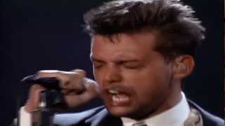 Luis Miguel - Alguien Como Tú HD - (5 de 19 - EL CONCIERTO)