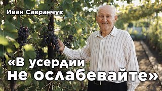 Свидетельство | Иван Савранчук