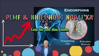 Liệu Pháp Nhiệt Hồng Ngoại Xa và PEMF Trường Điện Từ Xung Trong Thảm Đá Nóng Carefit | Vikicare