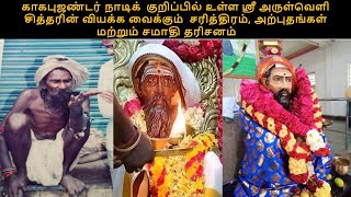 Arulveli Siddhar Baba Miracles and Samadhi Darshan Vlog