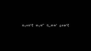 Seeni (Ellila Kansa Gahe) Lyrics – Maduwa & King Lotuss #lyrics  #සීනි #blackscreenlyrics #seeni