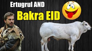 Ertugrul and Cow Qurbani funny Dubbing.| Ertugrul Season 4 Funny Dubbing | FUNNY VIDEOS