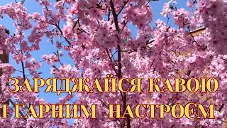 Доброго ранку! ☕🌷🌞 #привітанняукраїнською