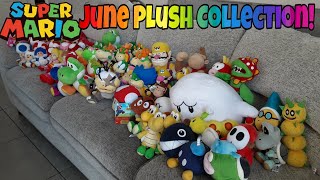 MY HUGE SUPER MARIO PLUSH COLLECTION JUNE 2022!!! (All-Star Collection, Super Nintendo World & More)