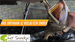 Hoe onthaak je veilig een snoek? Tips & Tricks - HSV het snoekje roofvis cursus